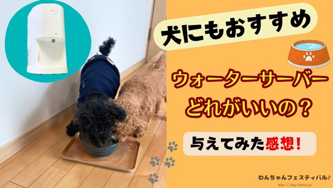 犬 おすすめ ウォーターサーバー 実際 与えてみた 感想 体質改善 レビュー エブリフレシャス