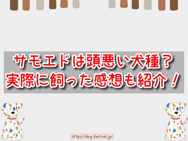 サモエド　頭悪い