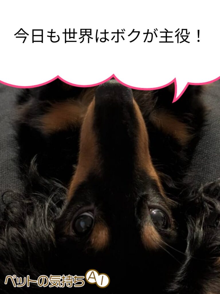 犬語　翻訳　アプリ　感想　使い方