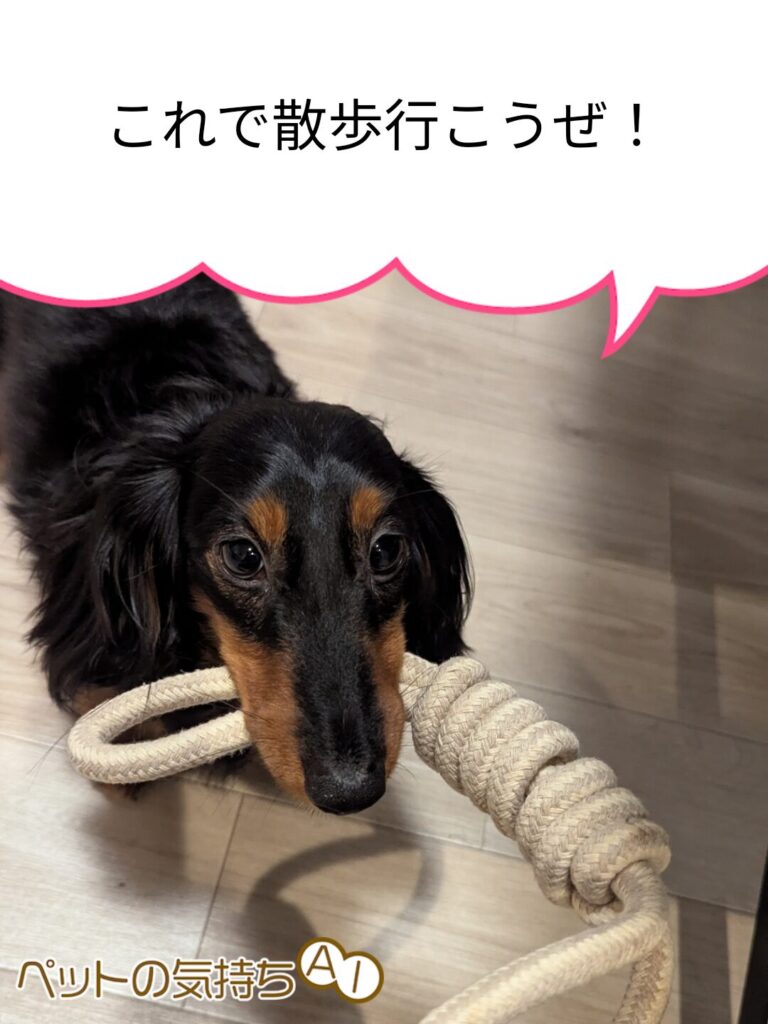 犬語　翻訳　アプリ　感想　使い方