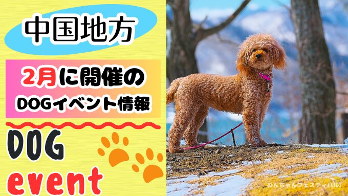 中国地方　犬イベント　一覧　開催場所　日程　2026　2月