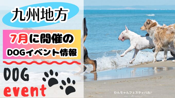 九州　犬イベント　一覧　開催場所　日程　2025　7月