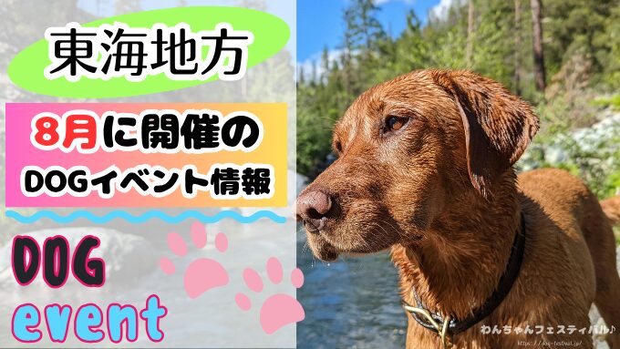 東海　犬イベント　一覧　開催場所　日程　2025　8月
