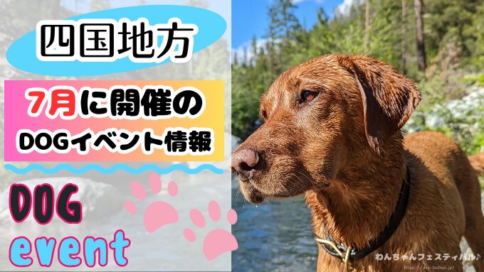 四国　犬イベント　7月　徳島　香川　愛媛　高知