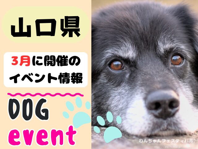犬イベント　中国地方　岡山県　広島県　山口県　鳥取県　島根県　2026年　3月