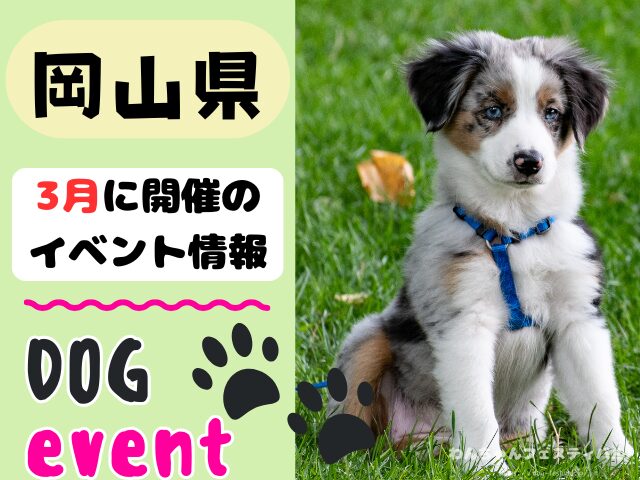 犬イベント　中国地方　岡山県　広島県　山口県　鳥取県　島根県　2026年　3月