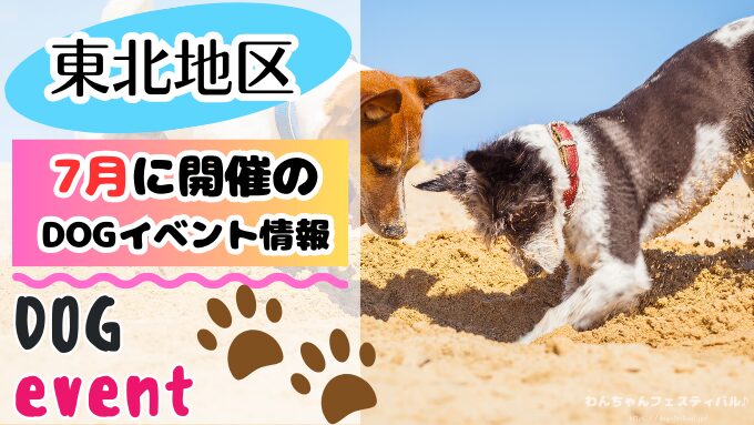 東北地方　犬イベント　一覧　開催場所　日程　2025　7月