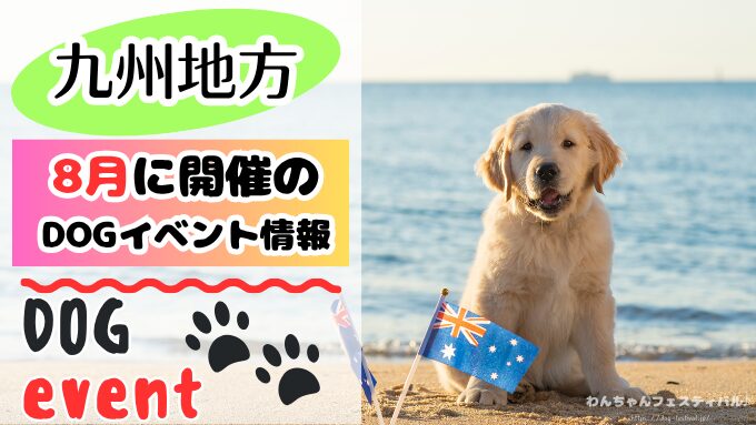 九州　犬イベント　一覧　開催場所　日程　2025　8月