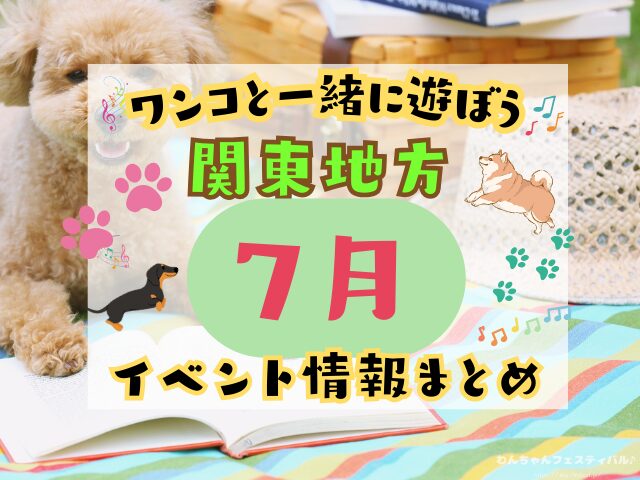 犬イベント　関東　東京　千葉　埼玉　神奈川　群馬　栃木　茨城　2025年　7月
