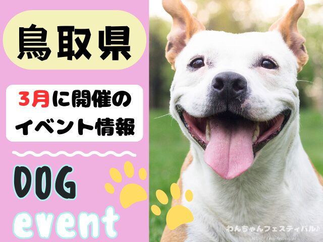 犬イベント　中国地方　岡山県　広島県　山口県　鳥取県　島根県　2026年　3月