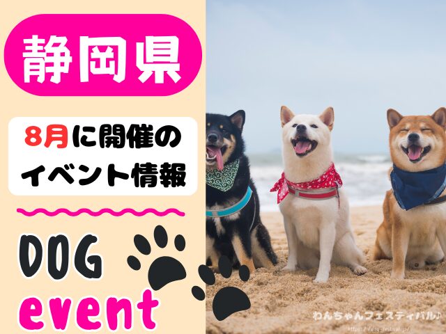 犬イベント　東海地区　静岡県　愛知県　三重県　岐阜県　山梨県　2025年　8月