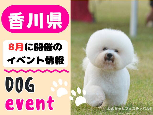 香川 犬イベント 8月