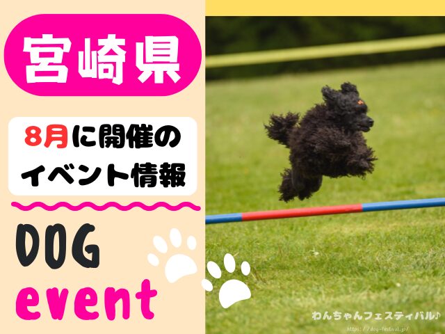 犬イベント 九州 福岡県 佐賀県 長崎県 熊本県 大分県 宮崎県 鹿児島県 2025年 8月