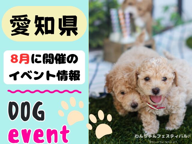 犬イベント　東海地区　静岡県　愛知県　三重県　岐阜県　山梨県　2025年　8月
