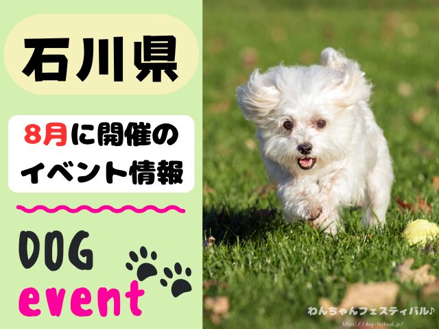 犬イベント 北陸地方 新潟県 富山県 石川県 福井県 2025年 8月