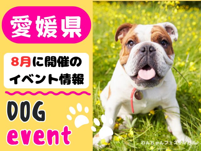 愛媛 犬イベント 8月
