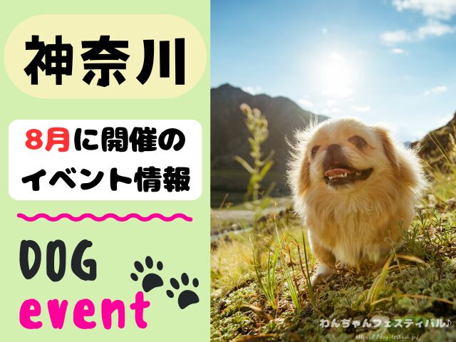 犬イベント　関東　東京　千葉　埼玉　神奈川　群馬　栃木　茨城　2025年　8月