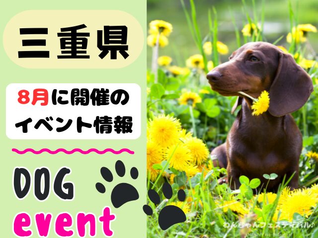 犬イベント　東海地区　静岡県　愛知県　三重県　岐阜県　山梨県　2025年　8月