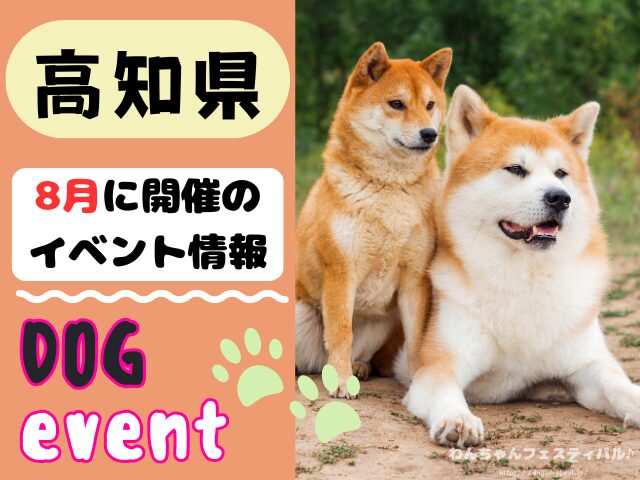 高知 犬イベント 8月