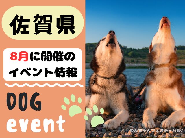 犬イベント 九州 福岡県 佐賀県 長崎県 熊本県 大分県 宮崎県 鹿児島県 2025年 8月