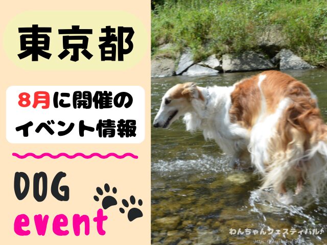 犬イベント　関東　東京　千葉　埼玉　神奈川　群馬　栃木　茨城　2025年　8月