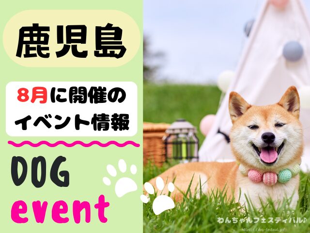 犬イベント 九州 福岡県 佐賀県 長崎県 熊本県 大分県 宮崎県 鹿児島県 2025年 8月