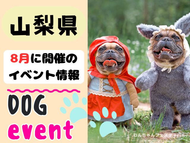 犬イベント　東海地区　静岡県　愛知県　三重県　岐阜県　山梨県　2025年　8月