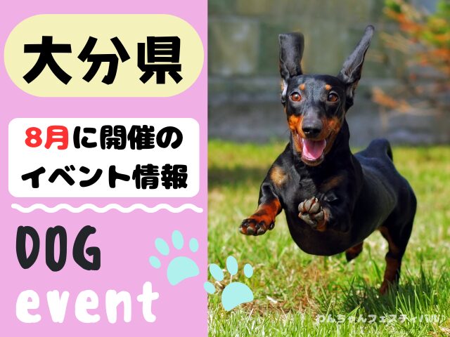 犬イベント 九州 福岡県 佐賀県 長崎県 熊本県 大分県 宮崎県 鹿児島県 2025年 8月