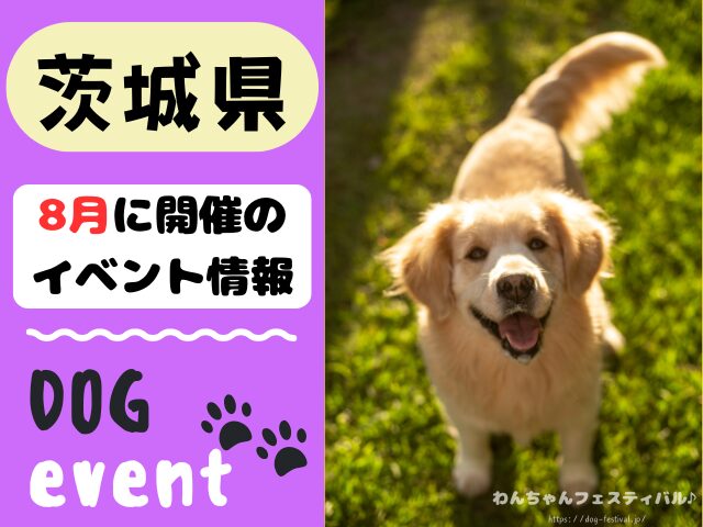 犬イベント　関東　東京　千葉　埼玉　神奈川　群馬　栃木　茨城　2025年　8月