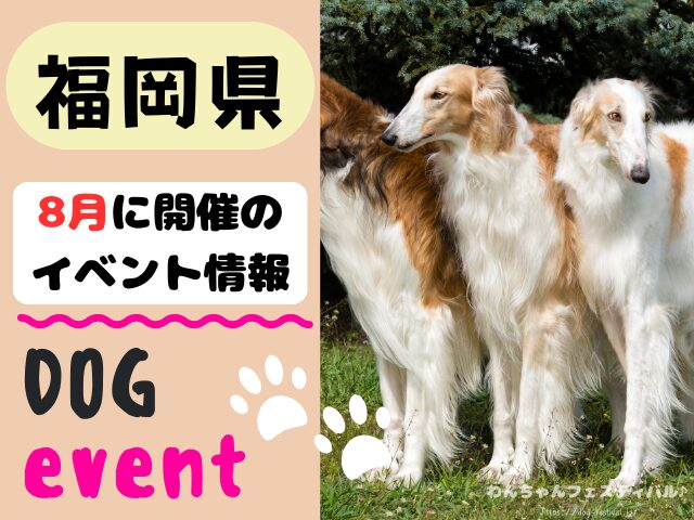 犬イベント 九州 福岡県 佐賀県 長崎県 熊本県 大分県 宮崎県 鹿児島県 2025年 8月