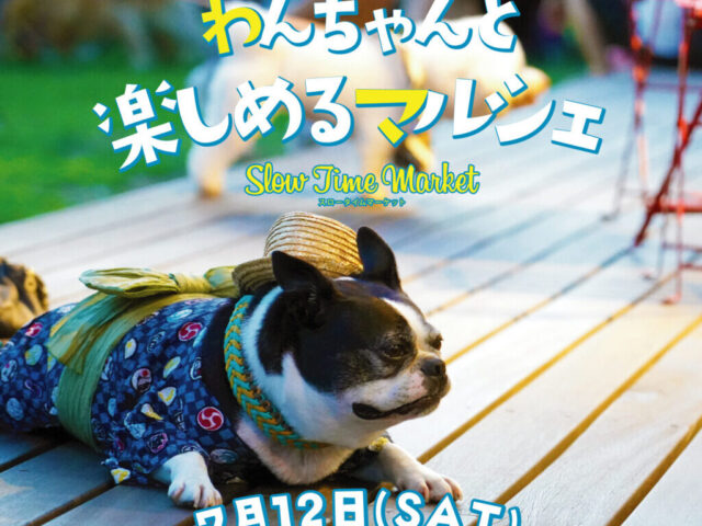 関西　犬イベント　一覧　開催場所　日程　2025　7月　大阪府　京都府　兵庫県　奈良県　滋賀県　和歌山県