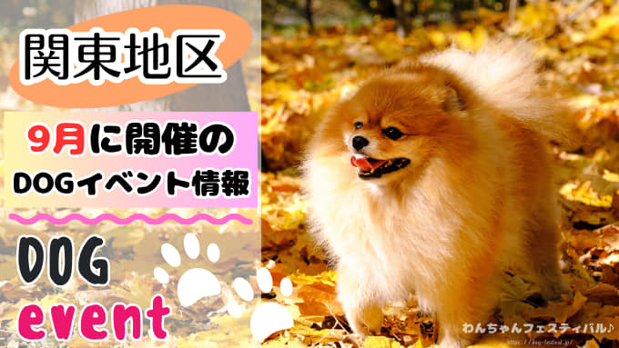 犬イベント　関東　東京　千葉　埼玉　神奈川　群馬　栃木　茨城　2025年　9月