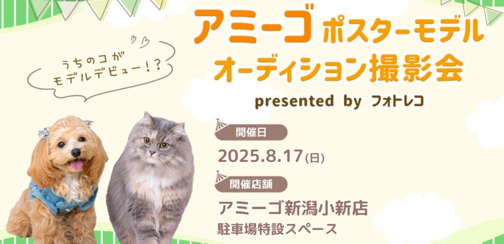 犬イベント 北陸地方 新潟県 富山県 石川県 福井県 2025年 8月