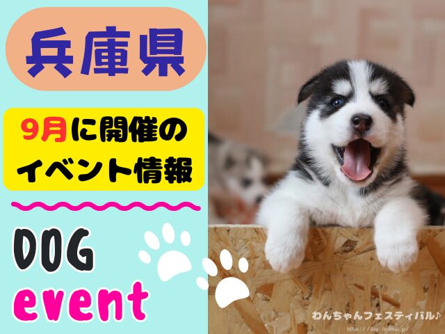 関西 犬イベント 一覧 開催場所 日程 2025 9月 大阪府 京都府 兵庫県 奈良県 滋賀県 和歌山県