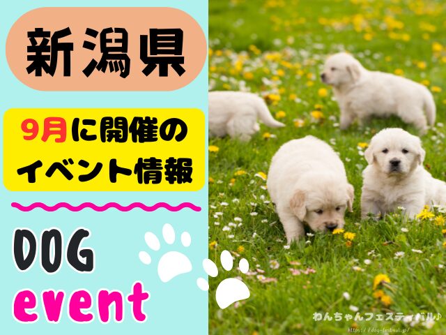 犬イベント　北陸地方　新潟県　富山県　石川県　福井県　2025年　9月