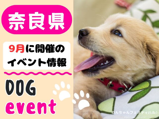 関西 犬イベント 一覧 開催場所 日程 2025 9月 大阪府 京都府 兵庫県 奈良県 滋賀県 和歌山県