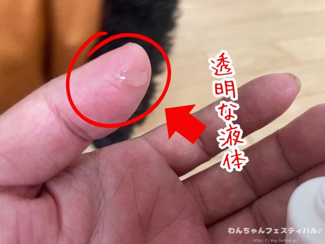 ドクターデンタルワン 効果なし 獣医師 使い方 安全性 成分 感想 評価 レビュー 体験談 歯磨き