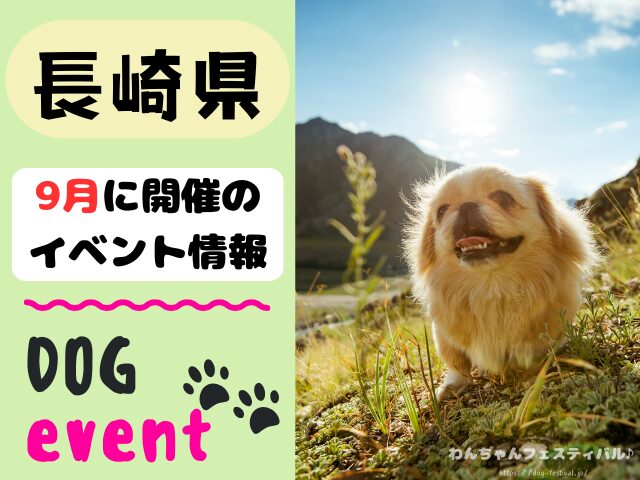 犬イベント　九州　福岡県　佐賀県　長崎県　熊本県　大分県　宮崎県　鹿児島県　2025年　9月