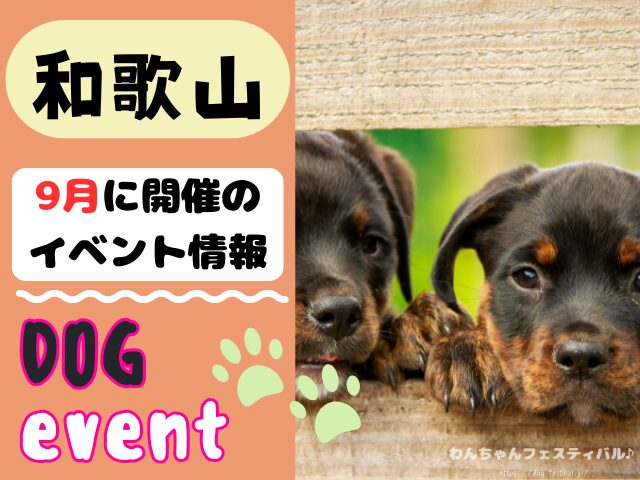 関西 犬イベント 一覧 開催場所 日程 2025 9月 大阪府 京都府 兵庫県 奈良県 滋賀県 和歌山県