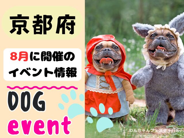 関西 犬イベント 一覧 開催場所 日程 2025 8月 大阪府 京都府 兵庫県 奈良県 滋賀県 和歌山県