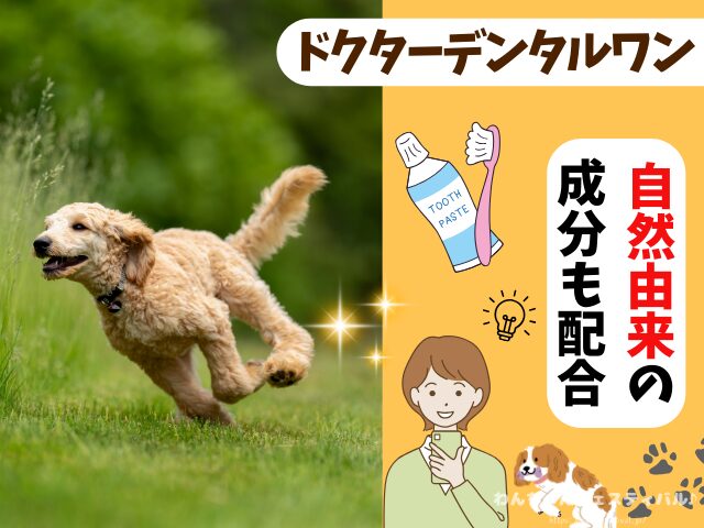 ドクターデンタルワン 効果なし 獣医師 使い方 安全性 成分 感想 評価 レビュー 体験談 歯磨き