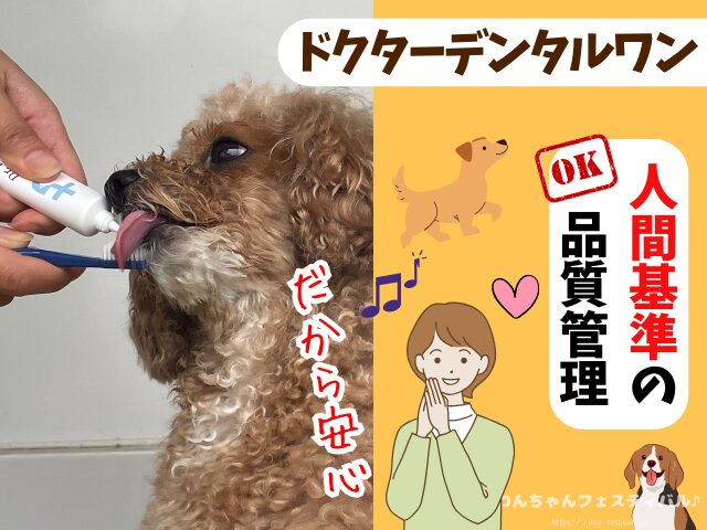 ドクターデンタルワン 効果なし 獣医師 使い方 安全性 成分 感想 評価 レビュー 体験談 歯磨き