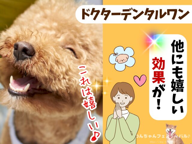 ドクターデンタルワン 効果なし 獣医師 使い方 安全性 成分 感想 評価 レビュー 体験談 歯磨き