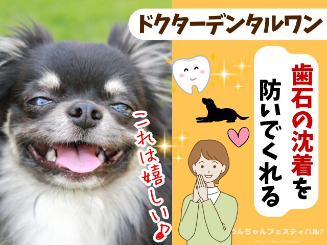 ドクターデンタルワン 効果なし 獣医師 使い方 安全性 成分 感想 評価 レビュー 体験談 歯磨き