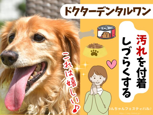 ドクターデンタルワン 効果なし 獣医師 使い方 安全性 成分 感想 評価 レビュー 体験談 歯磨き