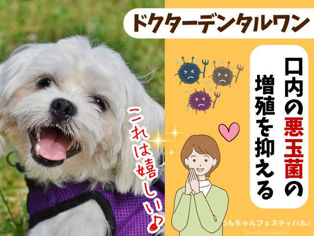 ドクターデンタルワン 効果なし 獣医師 使い方 安全性 成分 感想 評価 レビュー 体験談 歯磨き