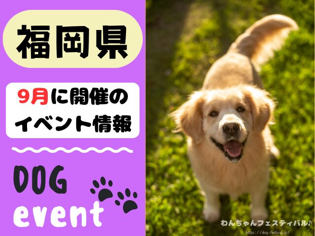 犬イベント　九州　福岡県　佐賀県　長崎県　熊本県　大分県　宮崎県　鹿児島県　2025年　9月