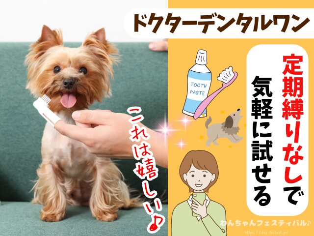 ドクターデンタルワン 効果なし 獣医師 使い方 安全性 成分 感想 評価 レビュー 体験談 歯磨き