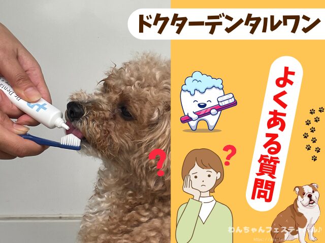 ドクターデンタルワン 効果なし 獣医師 使い方 安全性 成分 感想 評価 レビュー 体験談 歯磨き