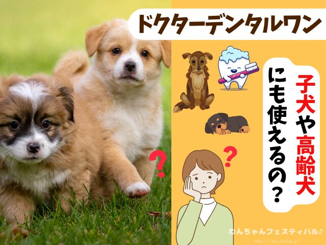ドクターデンタルワン 効果なし 獣医師 使い方 安全性 成分 感想 評価 レビュー 体験談 歯磨き